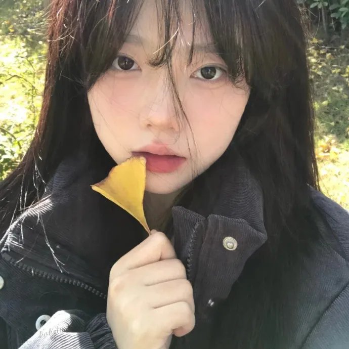 少年同盟第二季
